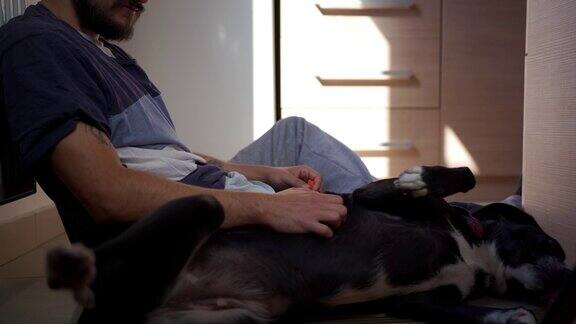 一个人坐在地板上抚摸着他漂亮的黑狗