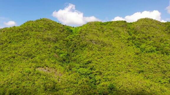 有热带植被的丘陵和山脉保和、菲律宾