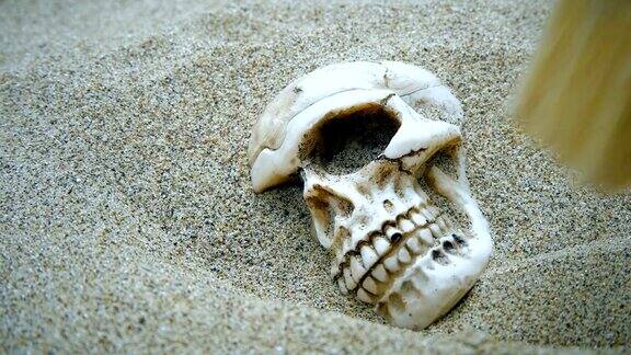 从沙子上擦出的人类头骨