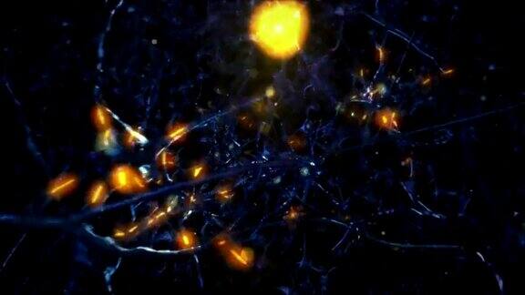 神经元细胞在人类的眼睛蓝色的