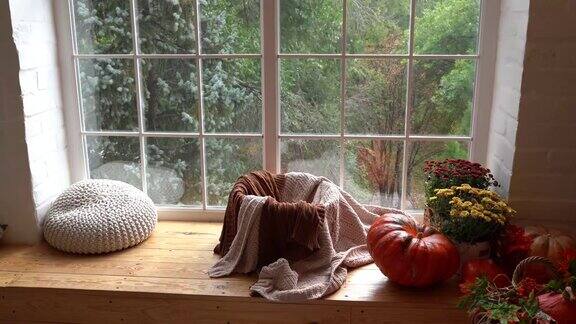 秋天舒适的家窗户上有南瓜鲜花和围巾