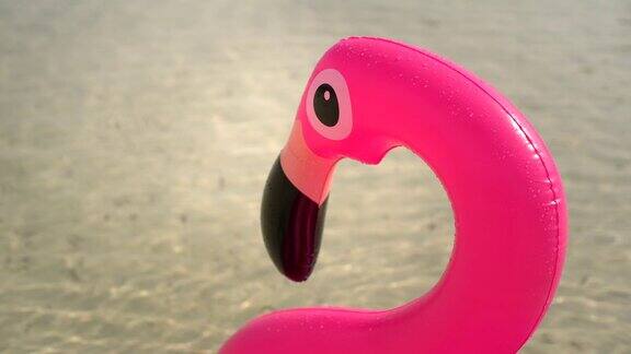充气火烈鸟在海滩上漂浮在海上的特写