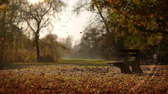秋天的公园里树叶飘落孤独的长椅上