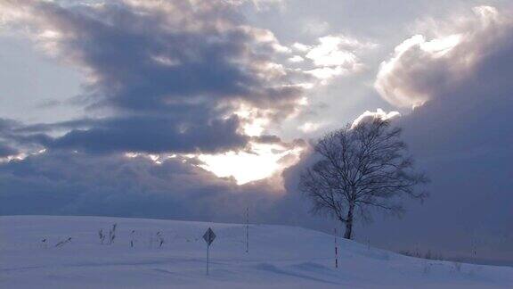 日本北海道日落时分北北的雪地