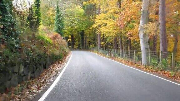 在秋天的森林里沿着大路开车
