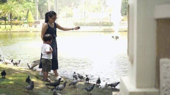 母亲和儿子在公园的池塘里喂鱼食