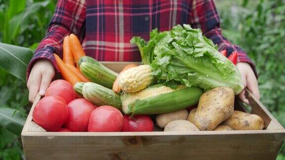 农夫拿着一个装着蔬菜的木盒子