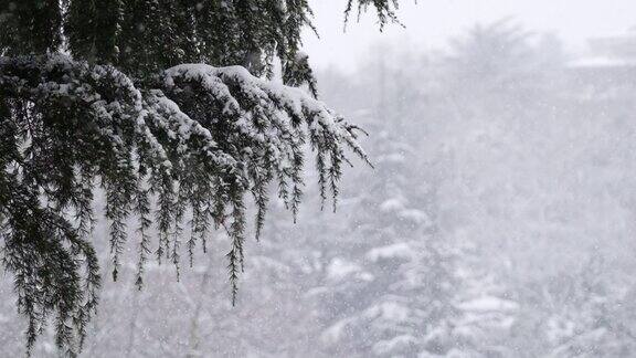 下雪慢动作