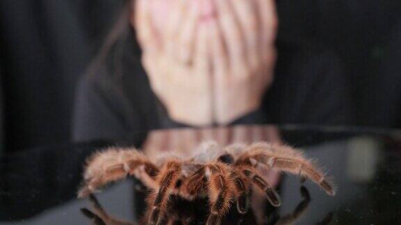 女人一看到蜘蛛就惊恐地尖叫起来有蜘蛛恐惧症