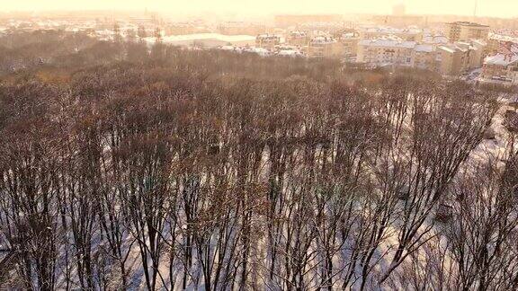 从上面看在一个寒冷的阳光明媚的冬日森林覆盖着雪