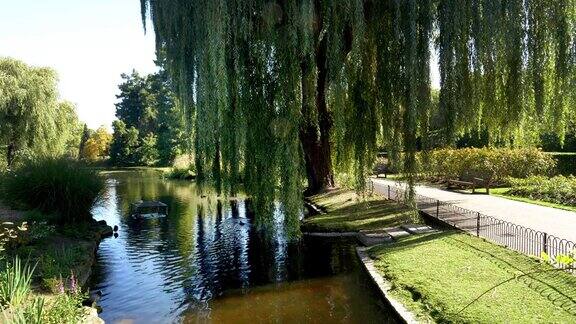 湖在伦敦摄政公园玛丽皇后花园部分