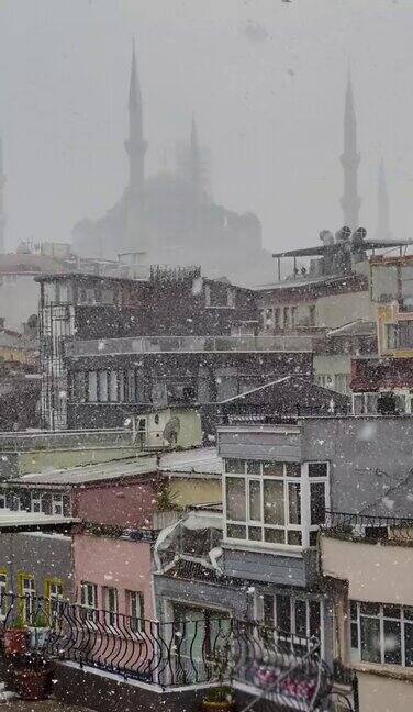 冬天的圣索菲亚清真寺和屋顶伊斯坦布尔土耳其