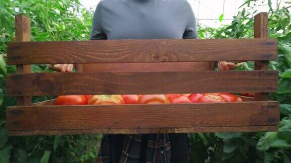 农夫提着一箱新鲜西红柿