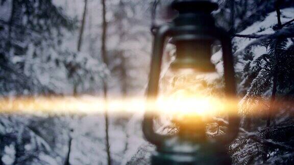 美丽的女人提着灯笼走在森林里冬季仙境