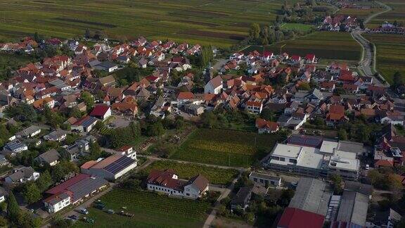 鸟瞰图周围的村庄和葡萄园在德国莱茵兰
