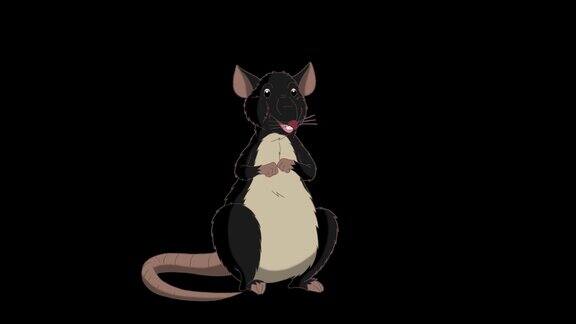 黑老鼠坐和说话动画阿尔法马特