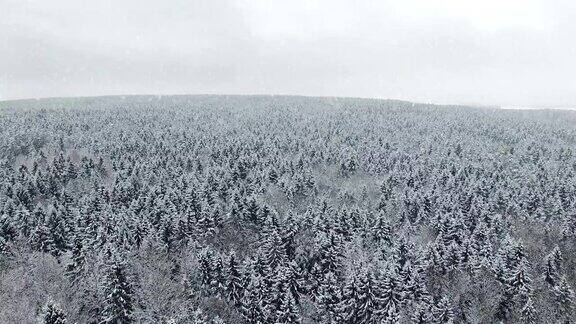 4k飞行上方的冬季森林在下雪的北方空中全景