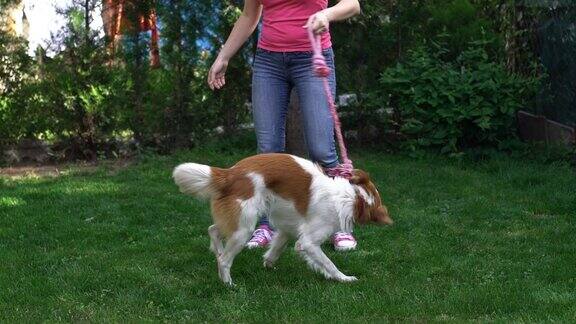 年轻女子和她的狗玩