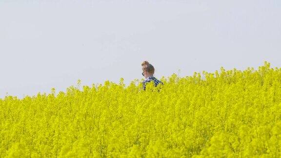 农民正在检查油菜籽田