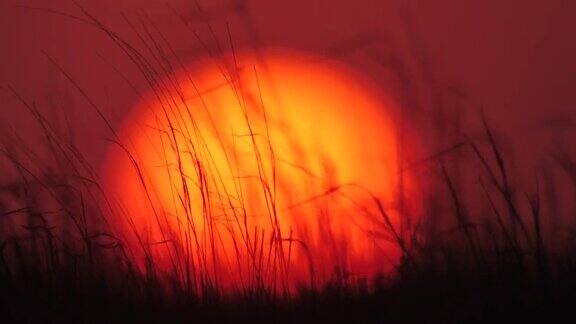 日落和草地卡尔梅克共和国的大草原
