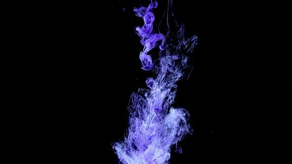抽象的彩色紫色墨水在黑色的背景水把墨水滴在水中
