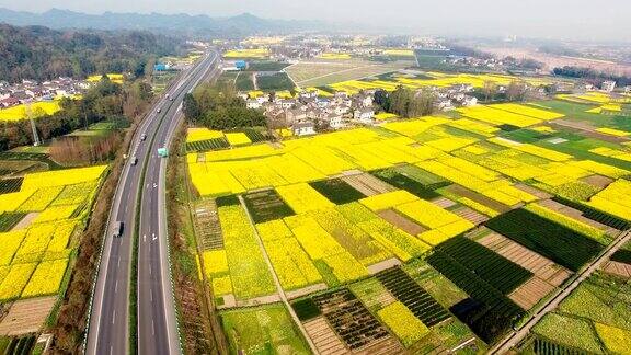 鸟瞰图的中国乡村景观在春天油菜种子盛开和村庄在高速公路