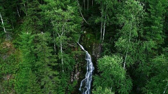 森林中的瀑布