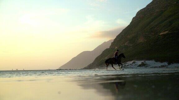 剪影女子骑马在阳光明媚的海洋海滩冲浪在日落