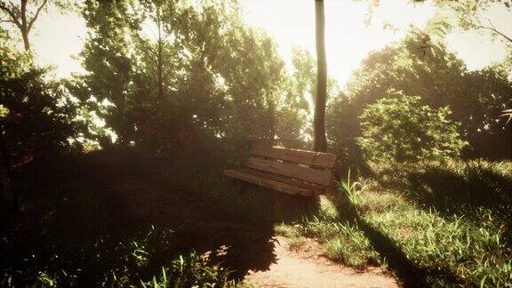 旧城公园里的空木凳