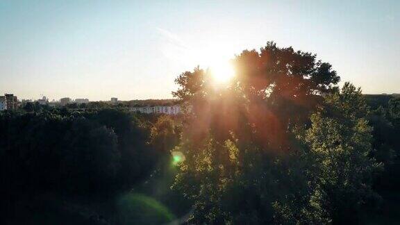 无人机空中拍摄阳光穿过城市公园大树的绿叶太阳在日落