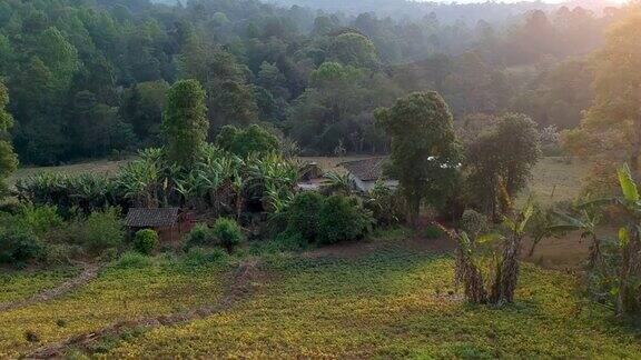 鸟瞰图一个典型的乡村房子在洪都拉斯用粘土和土坯