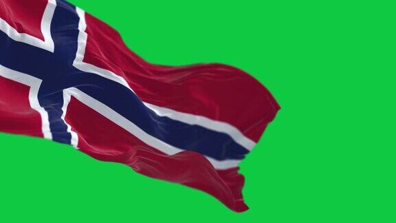 挪威国旗在绿色背景上孤立地飘扬着