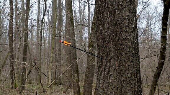 在森林里一名男子向一棵树射箭