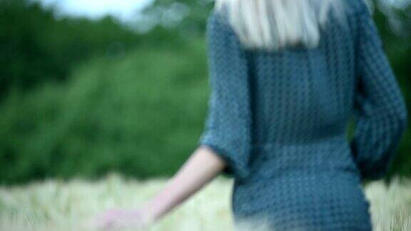 近景浅景深傍晚一个年轻姑娘的手触摸着麦田里的绿色小穗冷色后视图