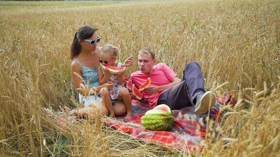 小家庭在麦田里吃西瓜