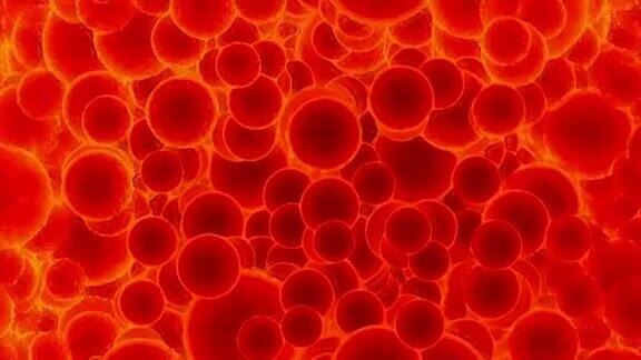 动脉中的血细胞