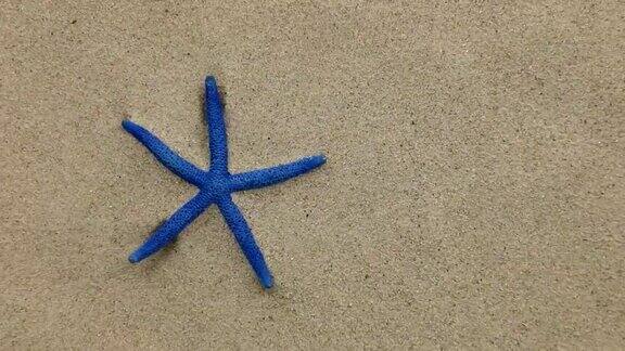 近似海星躺在沙滩上zoom