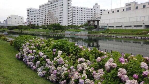 日本古老的中川河床