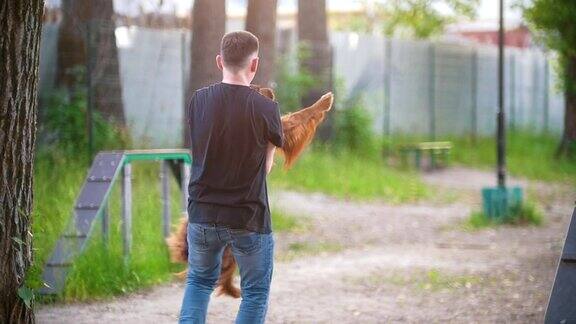 一个年轻人在夏天的公园里抱着一只爱尔兰猎犬