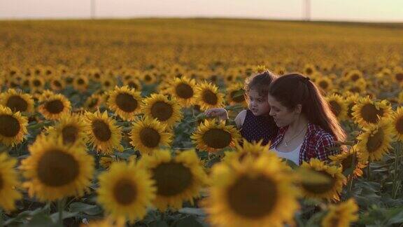 幸福的家庭理念妈妈和孩子在日落的向日葵地里玩耍