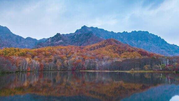 4k时间流逝与摄影离开鹿神池的秋天季节日本长野