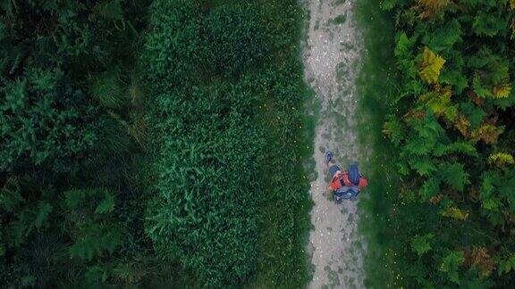 在森林中探索野生自然的人-康沃尔4K视频