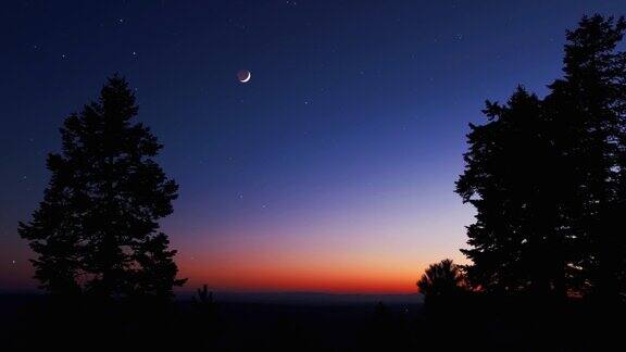 新月与星星行星和树木的剪影在傍晚的天空