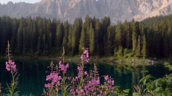在Dolomites湖的风景diCarezza