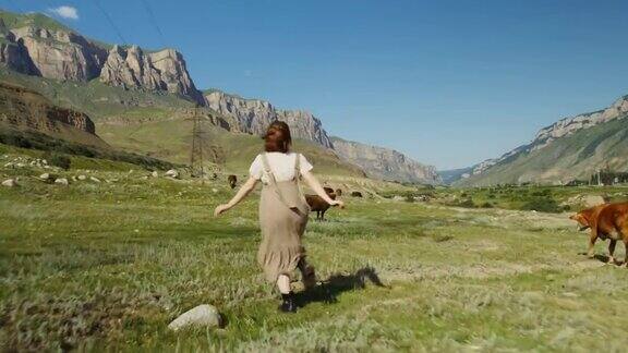 高加索地区一个年轻的女人在山上的牧场上跑在吃草的牛中间