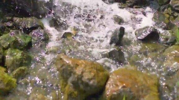 自然纯净的原水在森林中流动4k慢动作60帧秒