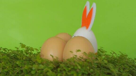 复活节兔子带着装饰彩蛋