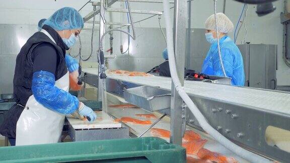 工厂的工作人员正在清洗鳟鱼片