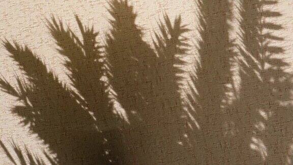 光影日落上的复古米色织物纹理
