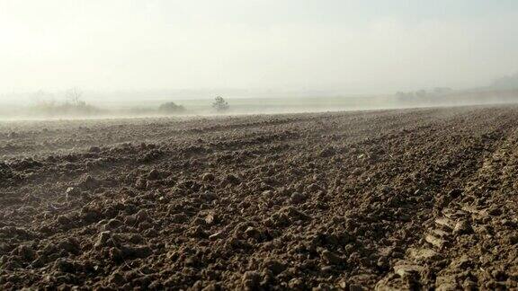 雾笼罩犁过的田野